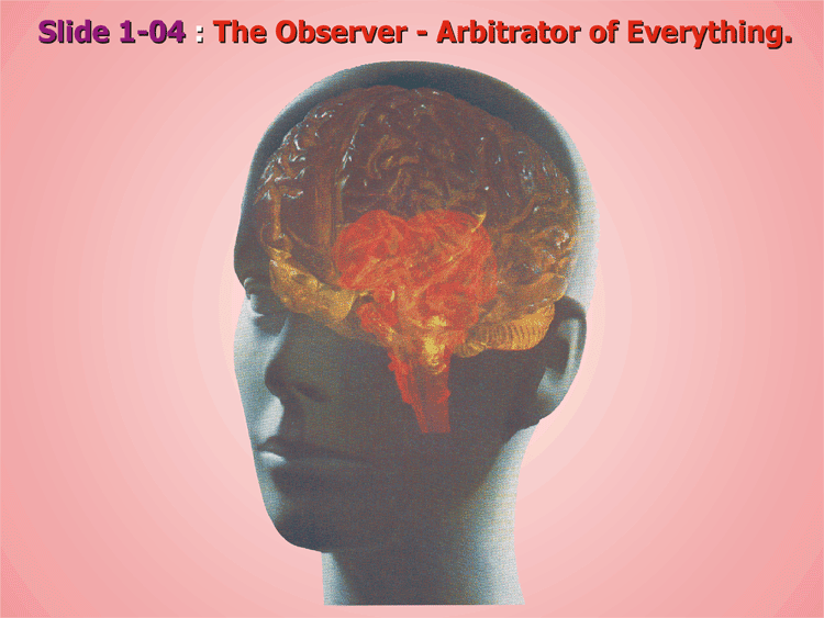 1-04_The-Arbitrator.gif