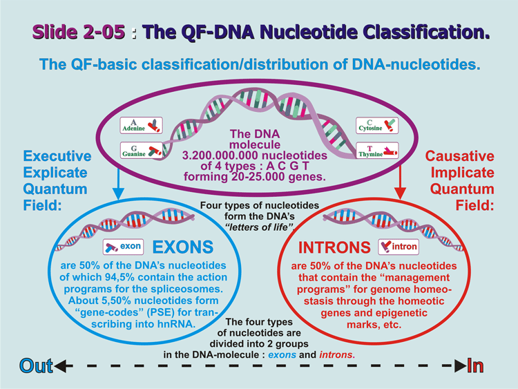 2-05_DNA-QF-Classification.gif