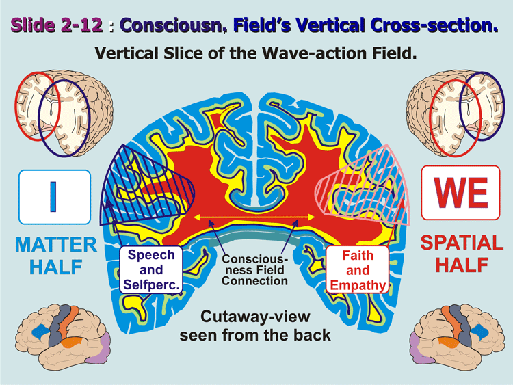 2-12_Latteral-Connections.gif