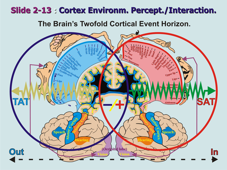 2-13_The-Brain's-Horizon.gif