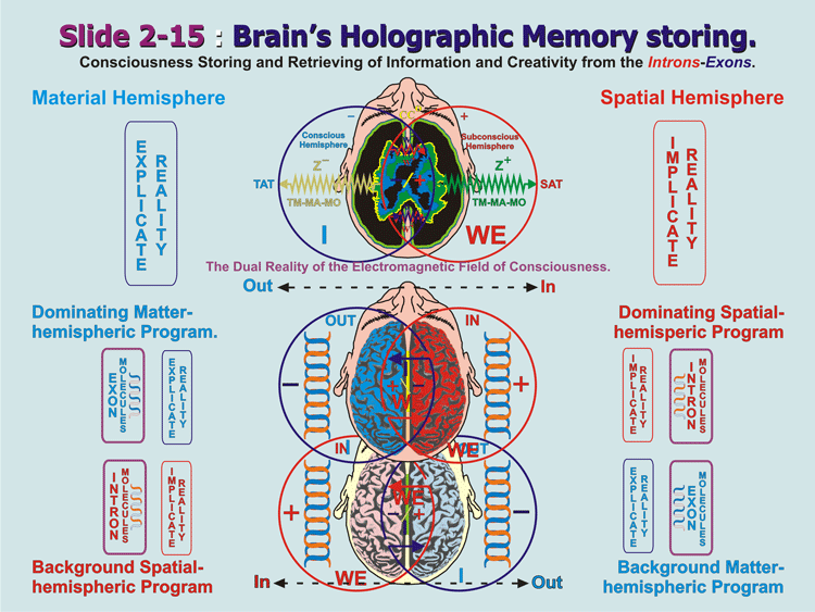 2-15_Holistic-Memeory.gif