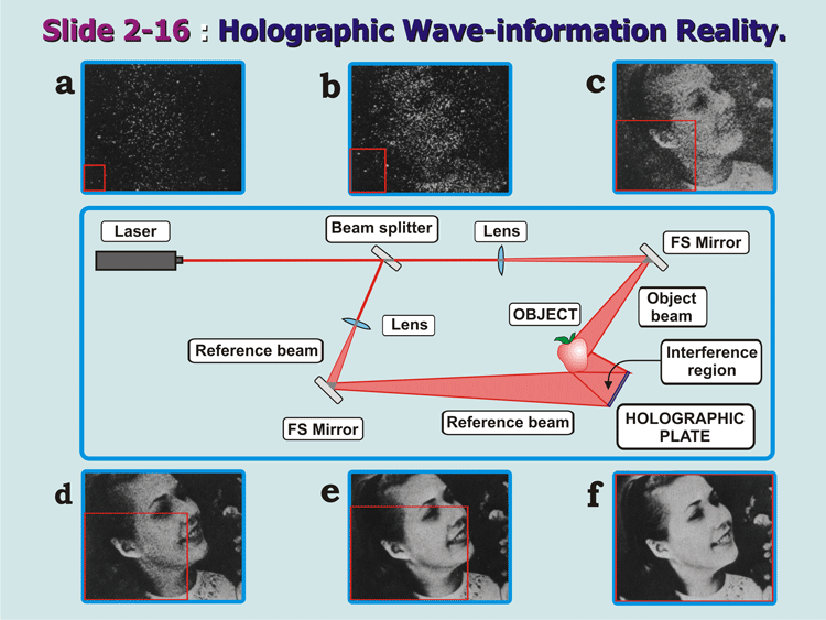 2-16_Holistic-Mechanism.gif