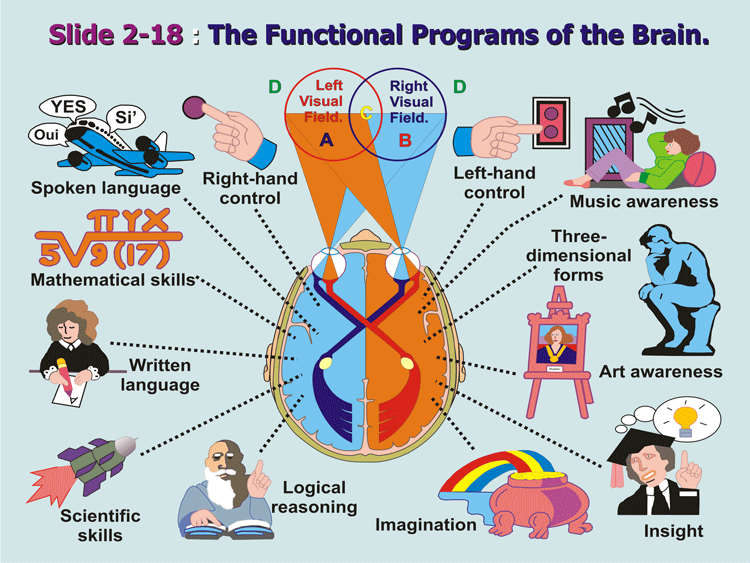 2-18_Functional-Programs.gif