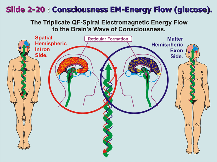 2-20_Energyflow-of-Consci.gif