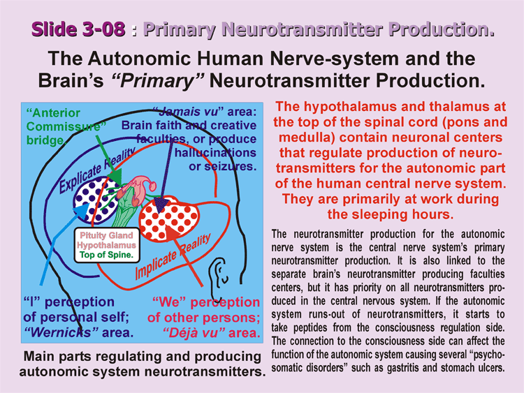 3-08_Primary-Peptids.gif