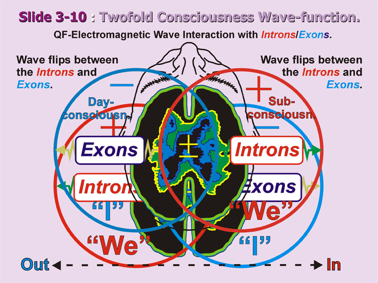 3-10_Consc-Wavefunct.gif