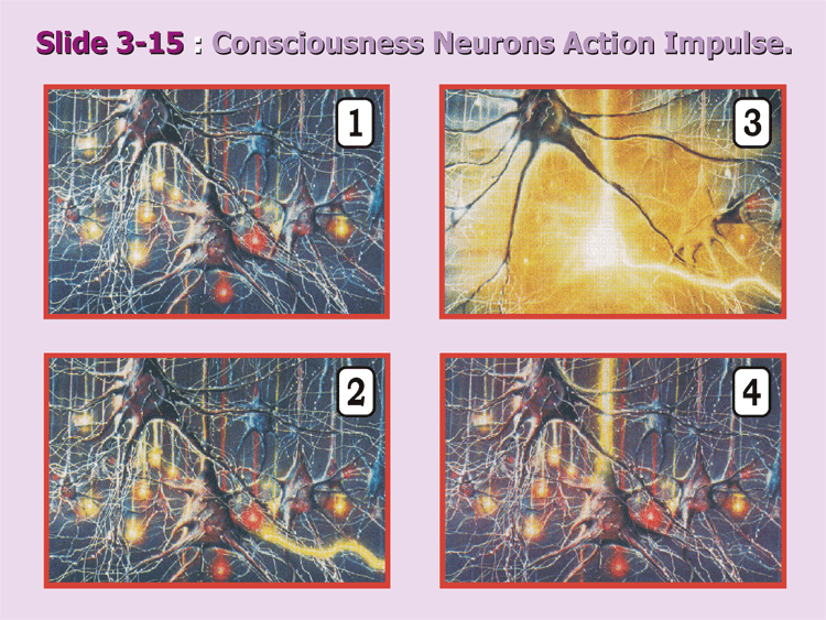 3-15_Electro-Chemical-Art.gif