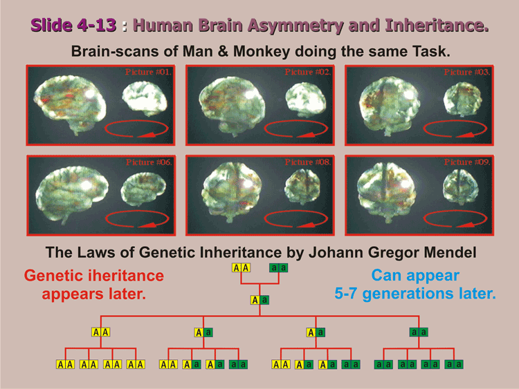 4-13_Man-Monkey-Filters.gif