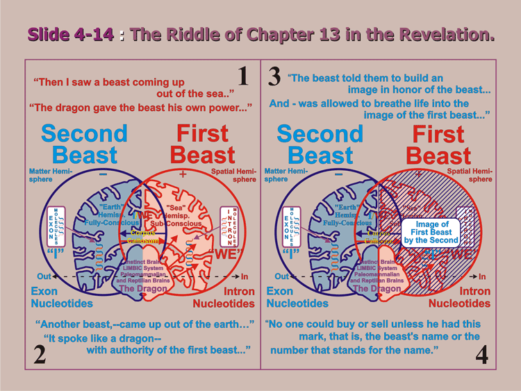 4-14_Chapter-13-Riddle.gif