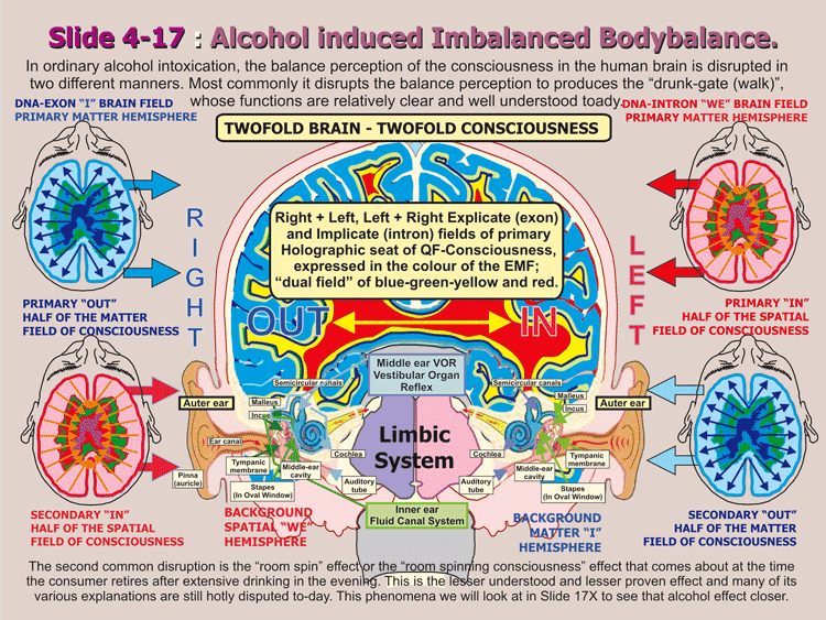 4-17_Alcoholimbalanced-Body.gif