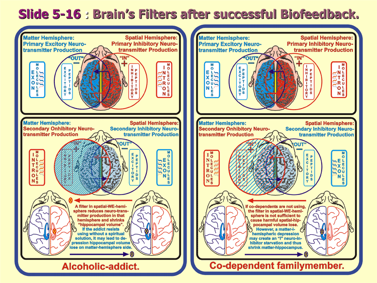 5-16_Recovery-Peptides.gif