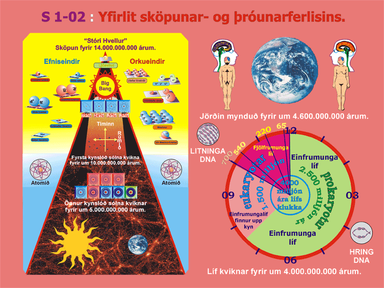 1-02_Skopunin.gif