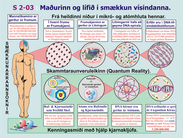 2-03_Smaekkunarstefnan-Madu.gif