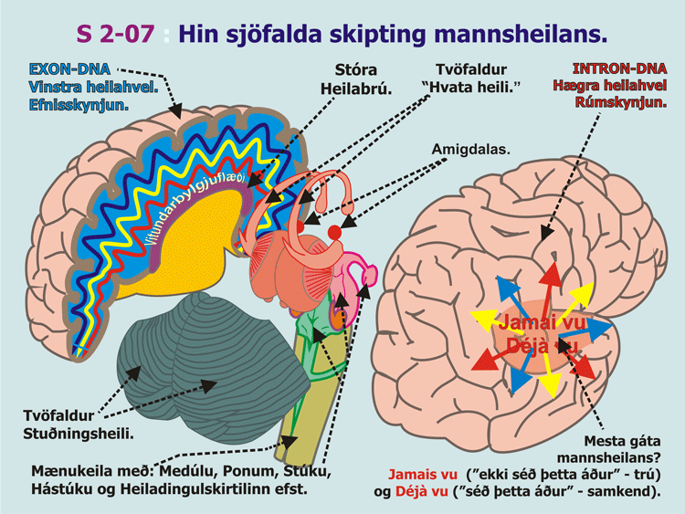 2-07_Skipting-heilans.gif