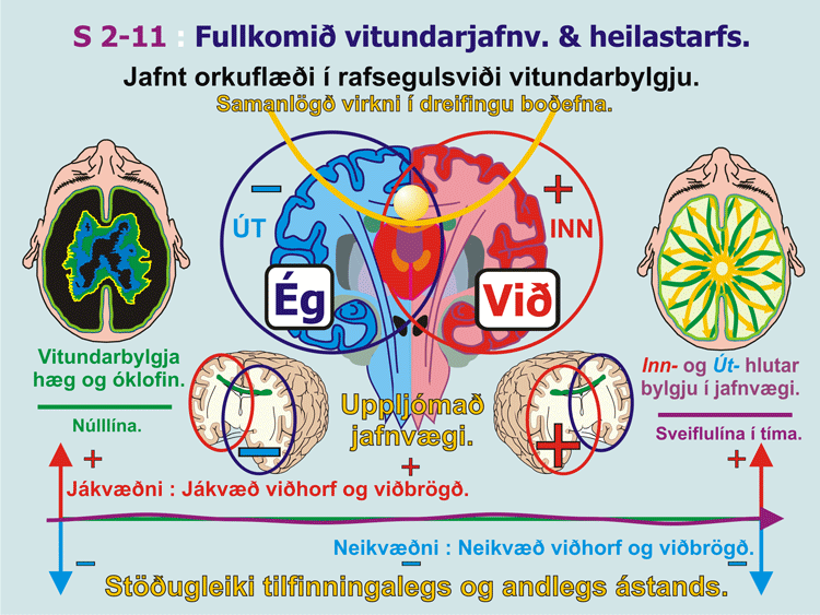 2-11_Fullkominn-vitund.gif