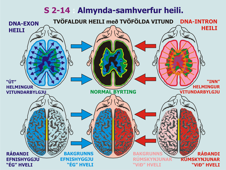 2-14_Almynda-samhv-heili.gif