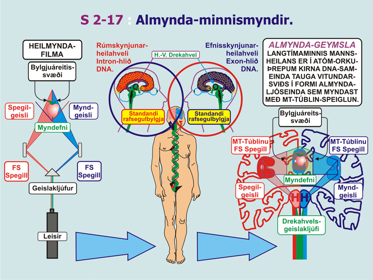 2-17_Almynda-minnismyndir.gif