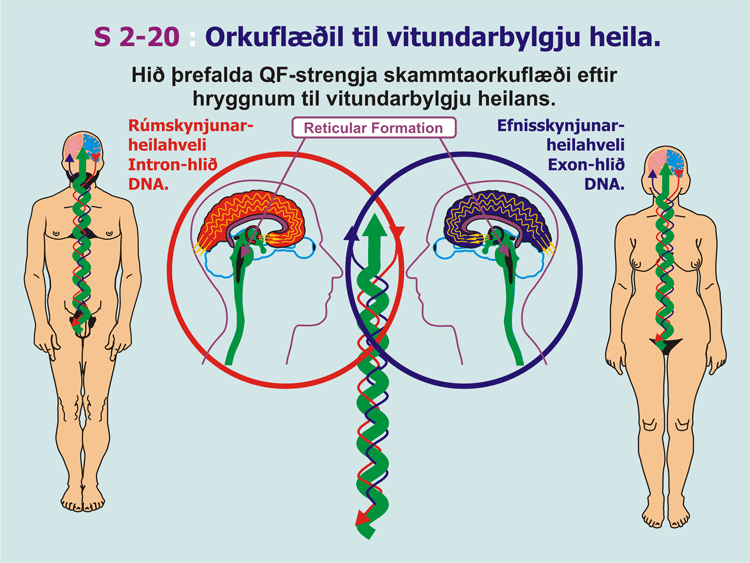 2-20_Orkufaedi-vitundar.gif