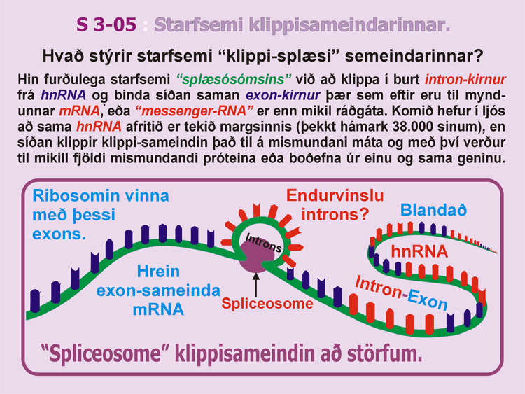 3-05_Klippisameindin.gif