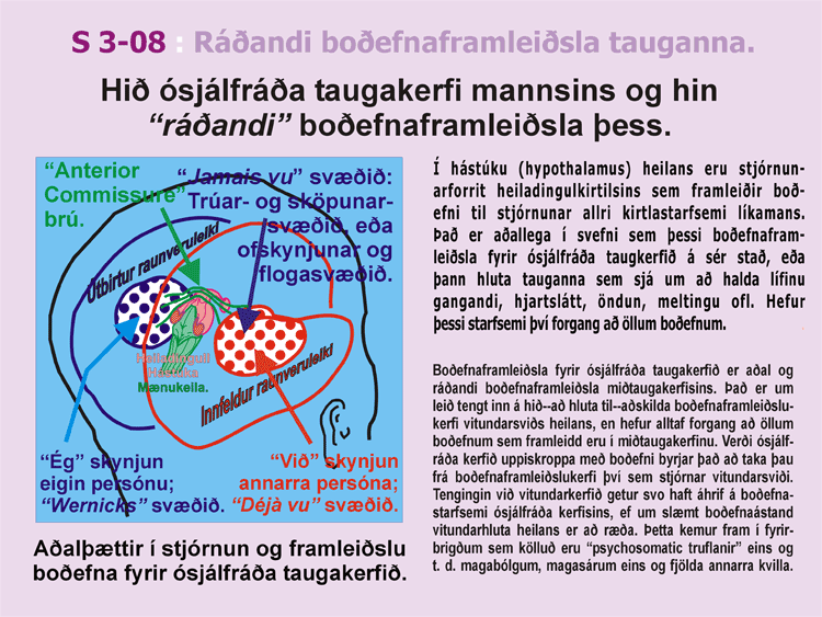 3-08_Lifsbodefni.gif