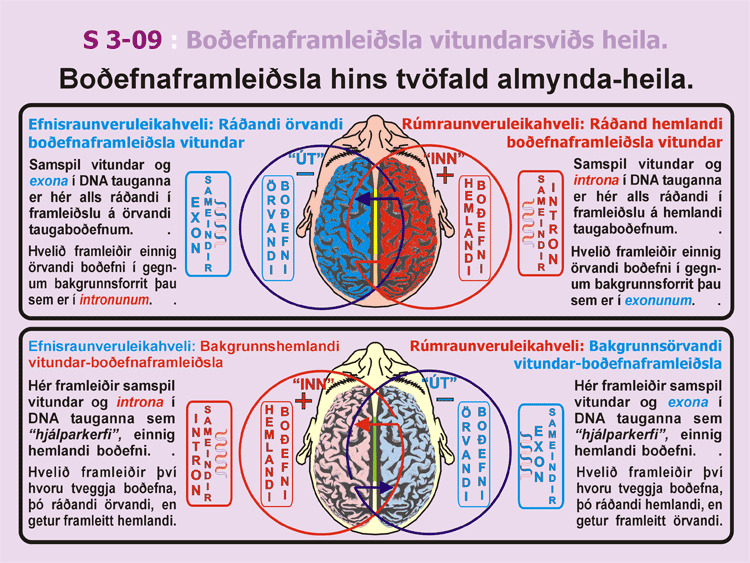 3-09_Vitundarbodefi.gif