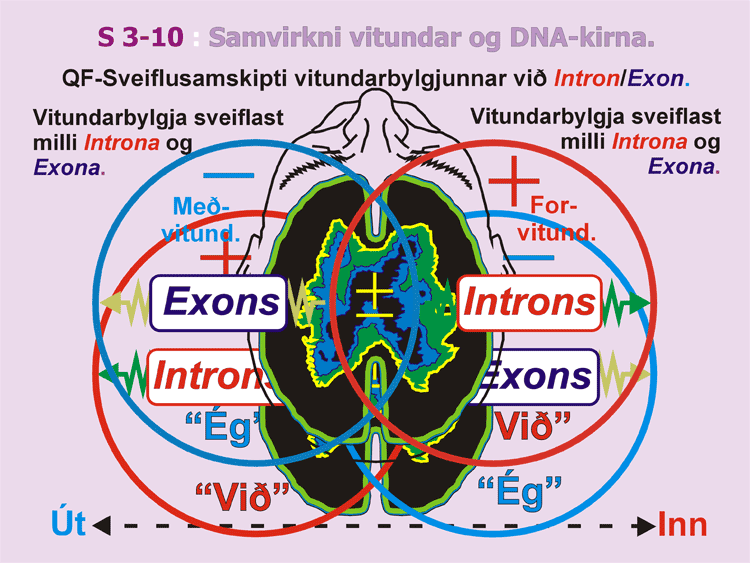 3-10_Samskipti-vitundar.gif