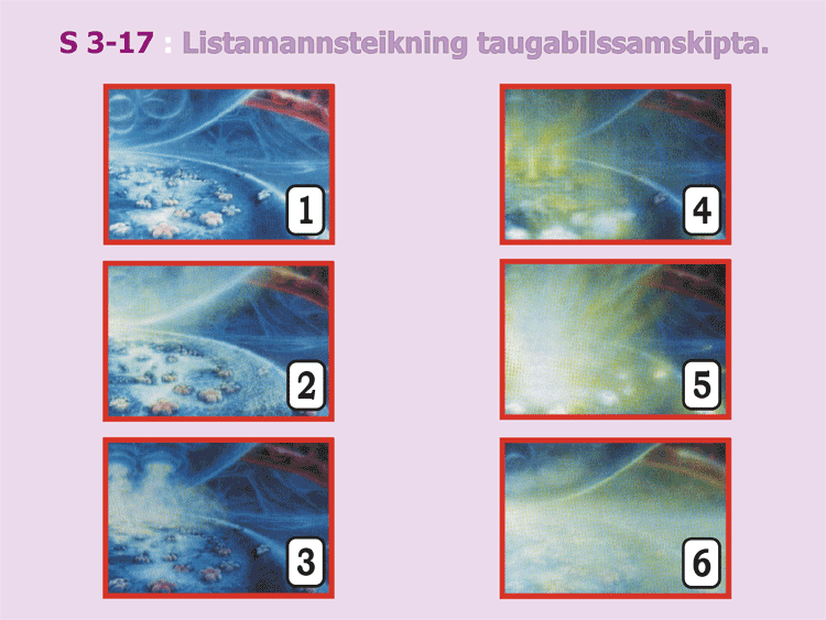 3-17_Artists-taugabil.gif