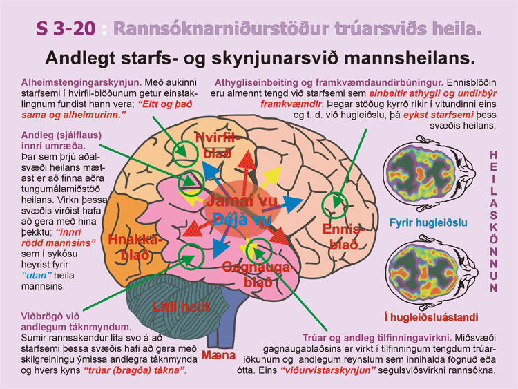 3-20_Andleg-forrit-heila.gif