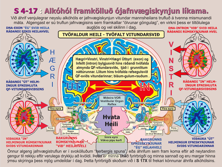 4-17_Alkahol-Truflad-Jafnva.gif