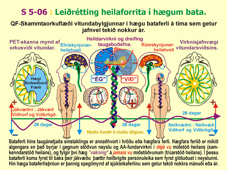 5-06_Haeg-batathroun.gif