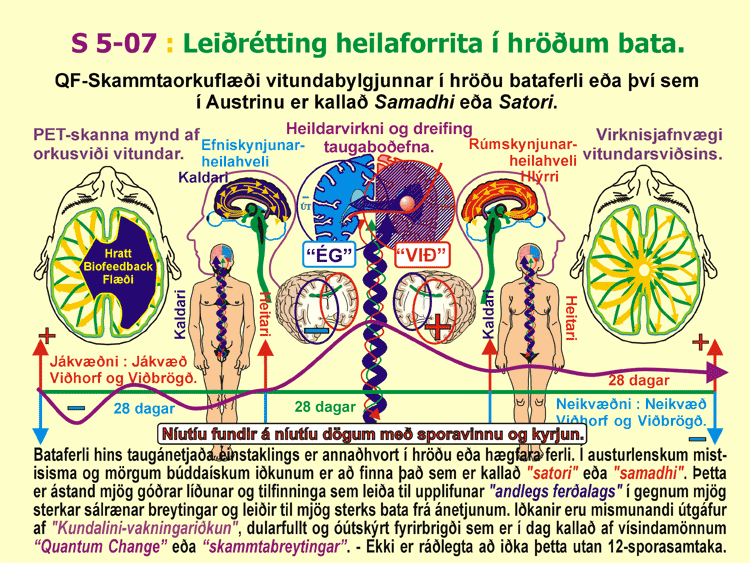 5-07_Hrod-batathroun.gif