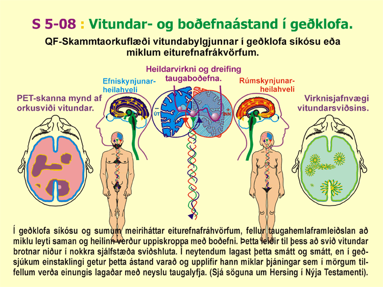 5-08_Gedklofa-vitund.gif