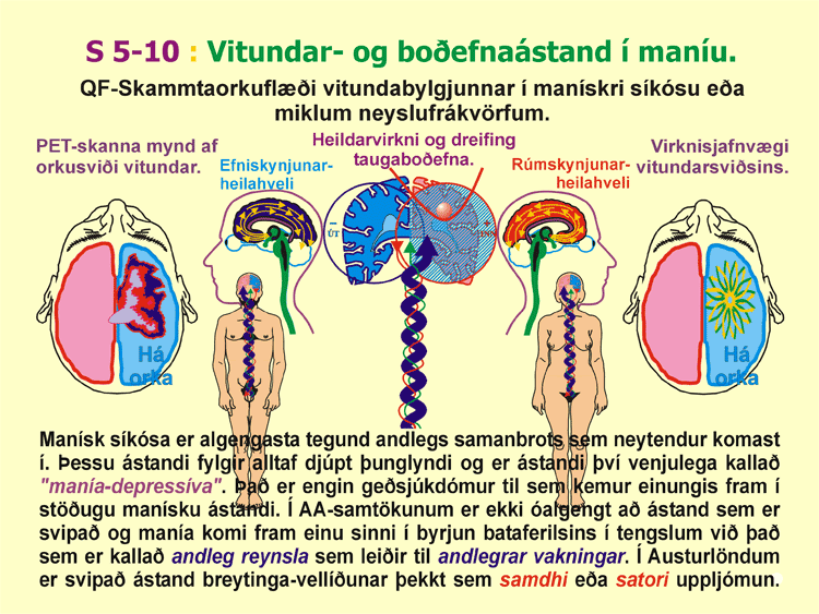 5-10_Manisk-sikosuvitund.gif