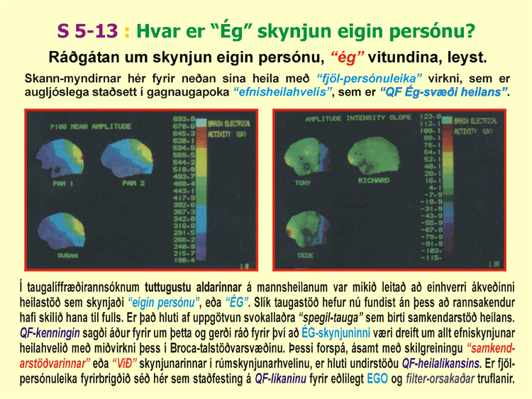 5-13_Skynjun-sjalfsins.gif