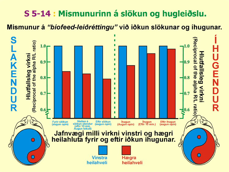 5-14_Hugleidsluarangur.gif