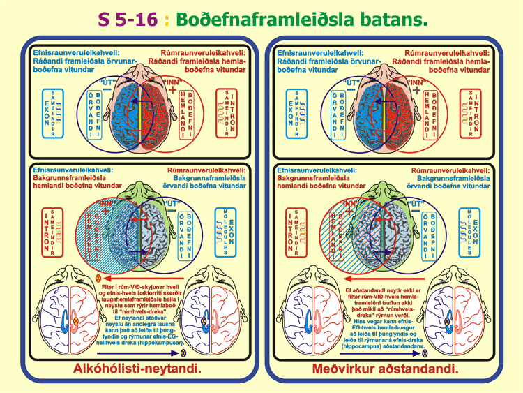 5-16_Bata-bodefni.gif