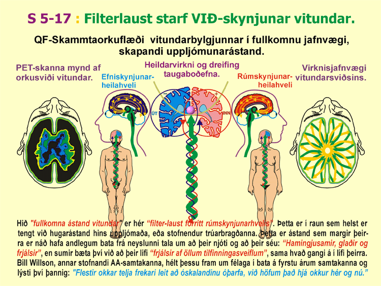 5-17_Fullkomin-vitund.gif