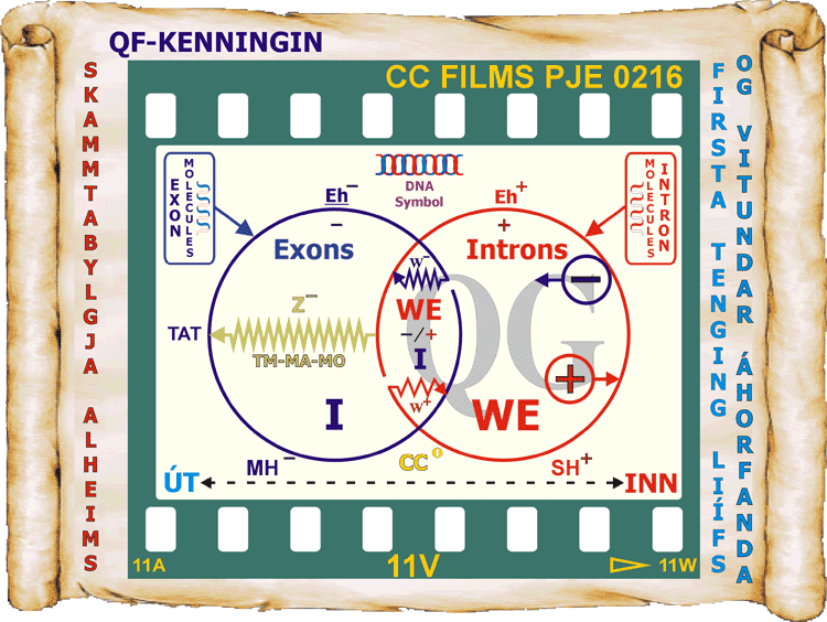 25_Kenningin-um-Alt-9.gif