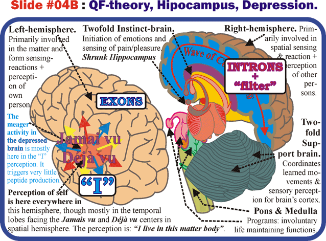 05_Depression-hipoc.gif