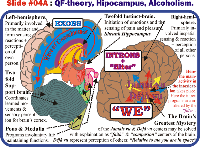 06_Alcohol-hipoc.gif