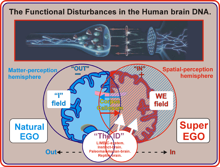 16_Functional-disturbance.gif