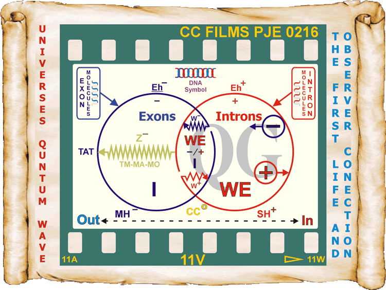 25_Theory-of-Everything-9.gif