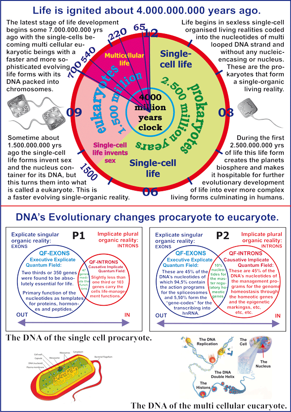 186_Part-Three-Figure-177.gif